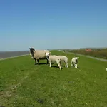 Wunschgarten Wesselburen