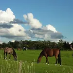 Wunschgarten