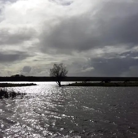 Wunschgarten Appartement Wesselburen