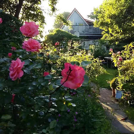 Wunschgarten Wesselburen