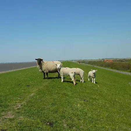 Apartman Wunschgarten *