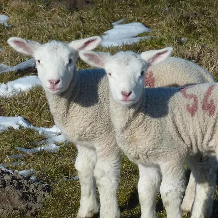 Apartman Wunschgarten