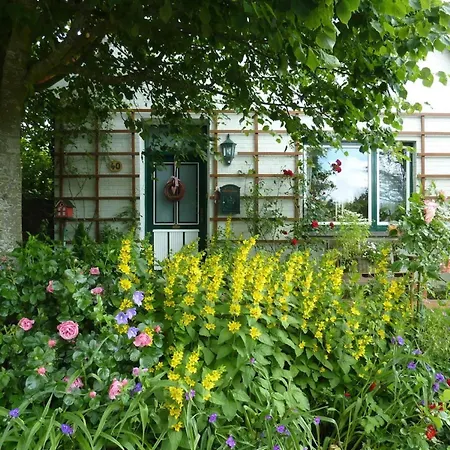 Apartment Wunschgarten
