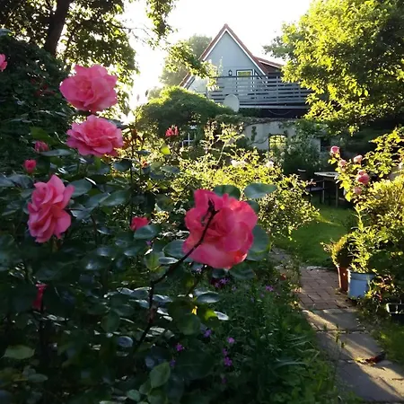 Wunschgarten Apartamento *