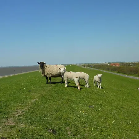 Wunschgarten Wesselburen
